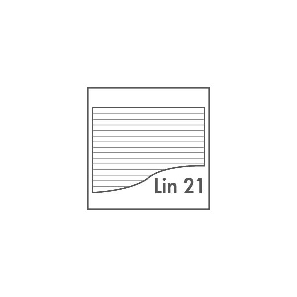 Lineatur 21