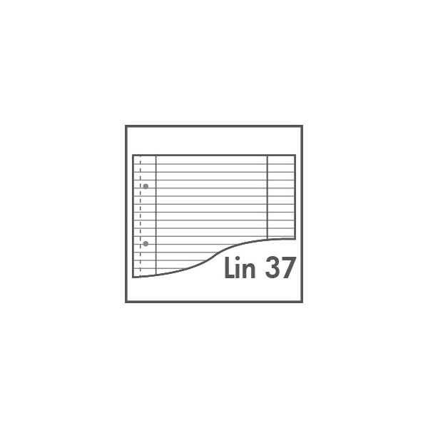 Lineatur 37